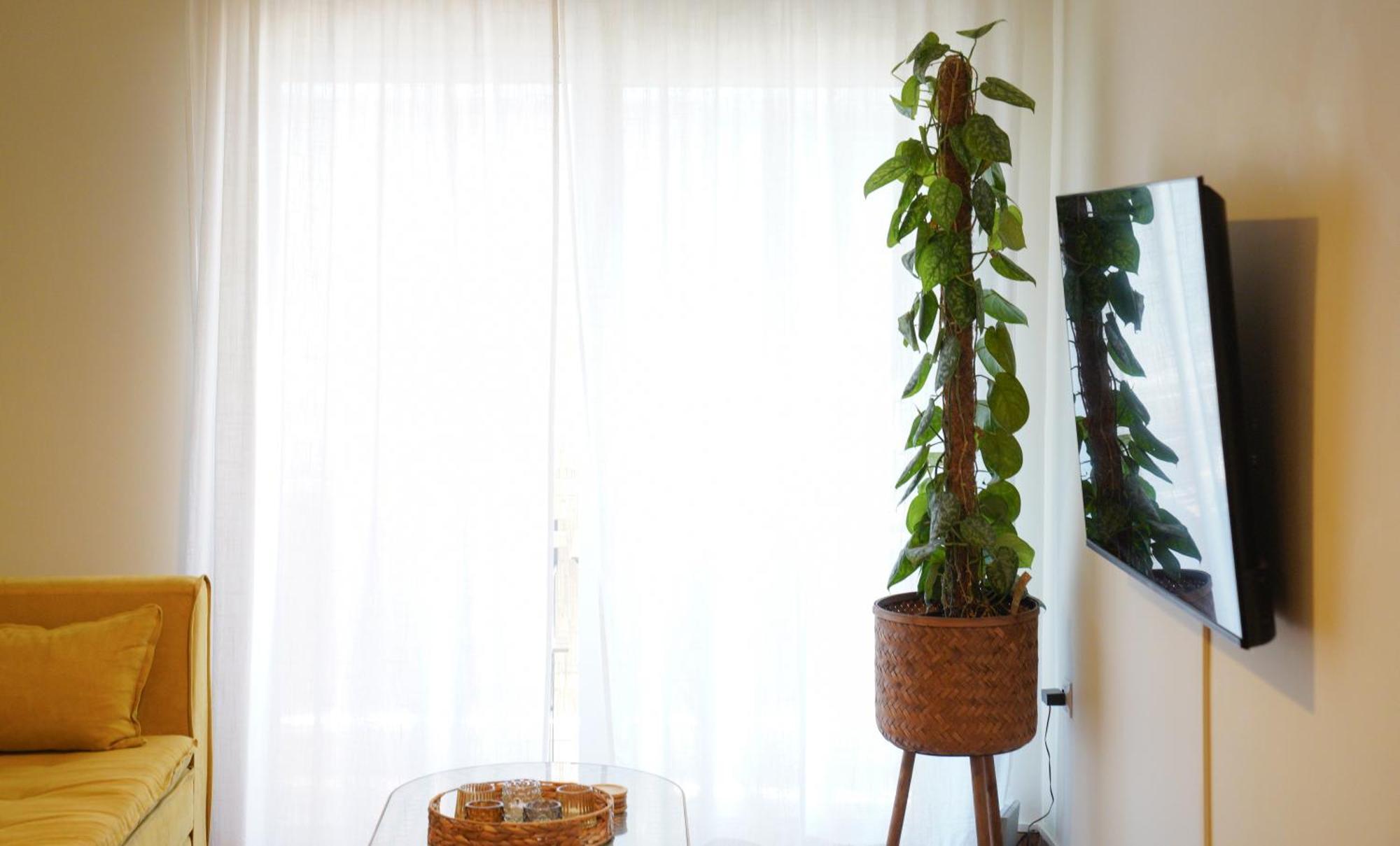 Bright Athens Studio Ngoại thất bức ảnh